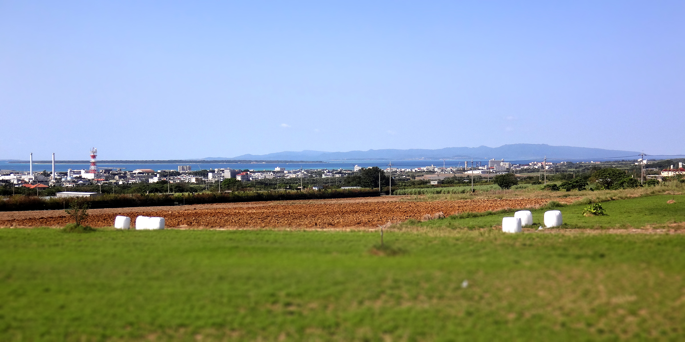 大知企画コンサルタント